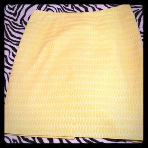 Ann Taylor Skirt